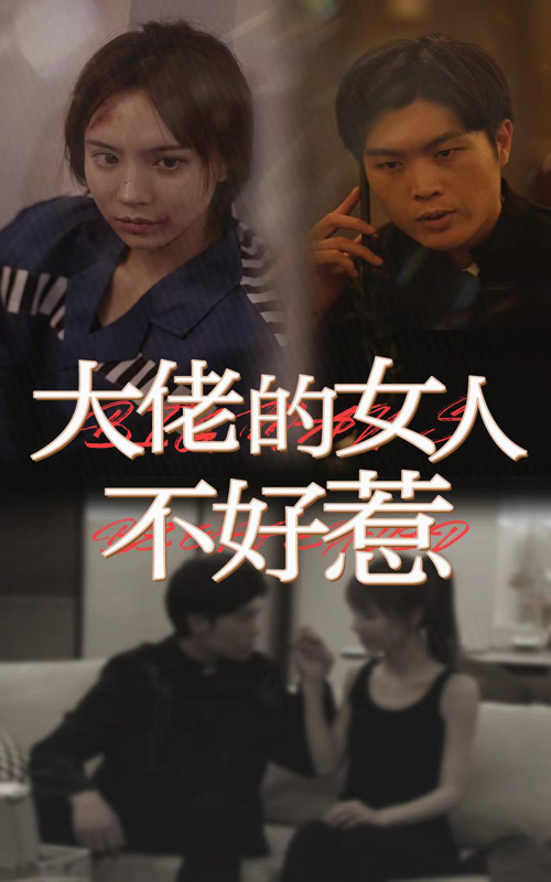 大佬女人不好惹 第12集
