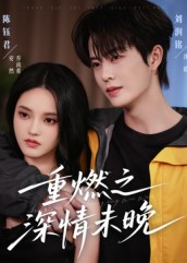 重燃之深情未晚(全集)