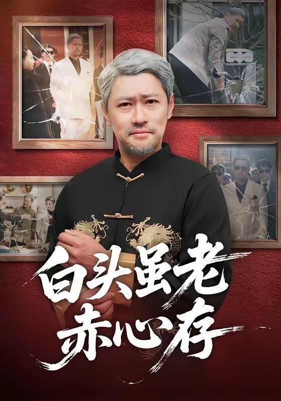 白头虽老赤心存(全集)